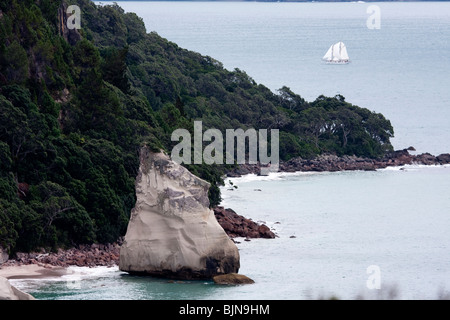 Segelboot im blauen Meer in Cathedral Cove Coromandel Halbinsel, Nordinsel, Neuseeland. Stockfoto