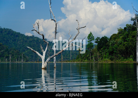 Cheow Lan See im Khao Sok Nationalpark, Thailand, Südostasien Stockfoto