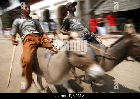 Reiter auf ihren Eseln während des jährlichen Rennens stattfindet während Maulidi, Lamu, Kenia Stockfoto