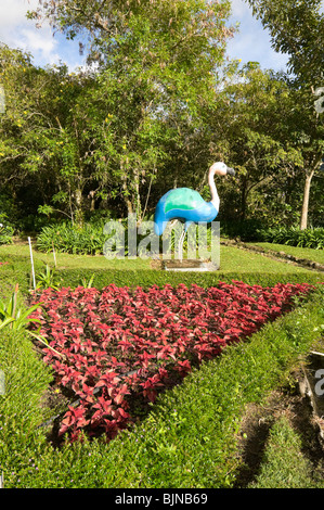 Mi Jardin es Tu Jardin Boquete Chiriqui Provinz Panama Stockfoto