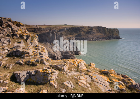 Blick von den Klippen über der Bucht von Mewslade auf der Gower Halbinsel South Wales UK Stockfoto