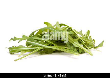 Haufen von Rocket Leaf auf weißen Hintergrund isoliert. Stockfoto