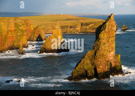 Die Stapel von Duncansby Duncansby Head, Caithness, Schottland, UK Stockfoto