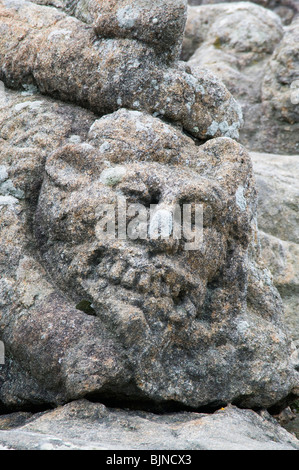 Felszeichnungen Rotheneuf Brittany France Stockfoto