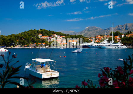 Kroatien, Dalmatien, dalmatinische Küste, Cavtat Stockfoto