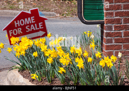 House For Sale Schild und Narzissen, Frühjahr 2010 Stockfoto