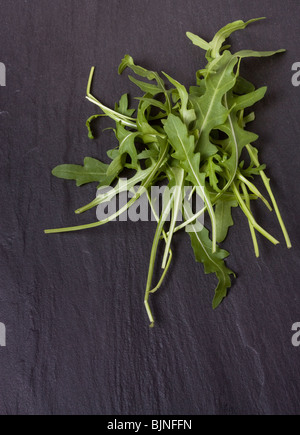 Haufen von Blatt Rucola dunklen Schiefer Hintergrund. Stockfoto