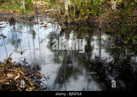 Ölaustritt aus einem Brunnen im tropischen Regenwald, Ecuador Stockfoto