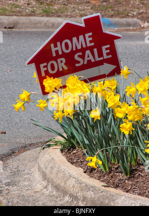 House For Sale Schild und Narzissen, Frühjahr 2010 Stockfoto