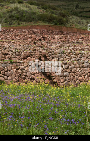 Inka-Schritte-Muränen-peru Stockfoto