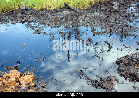 Ölpest im Regenwald, Ecuador Stockfoto