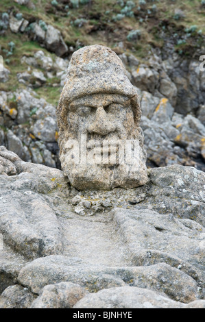 Felszeichnungen Rotheneuf Brittany France Stockfoto