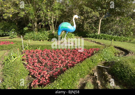 Mi Jardin es Tu Jardin Boquete Chiriqui Provinz Panama Stockfoto