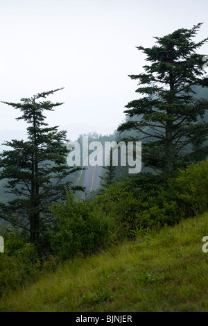 Bäume, Blue Ridge Parkway, Spätsommer, NC Stockfoto