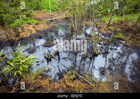 Ölaustritt aus einem Brunnen im tropischen Regenwald, Ecuador Stockfoto