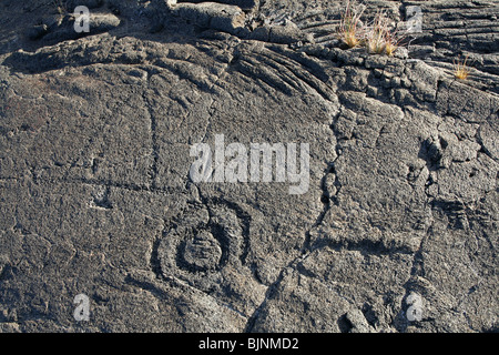 Petroglyph, Mauna Loa Petroglyph Trail Stockfoto