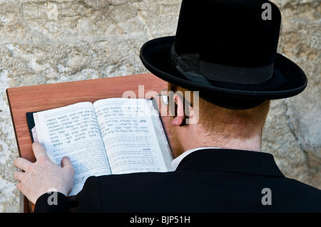 Studieren die Bibel von der Klagemauer. Stockfoto