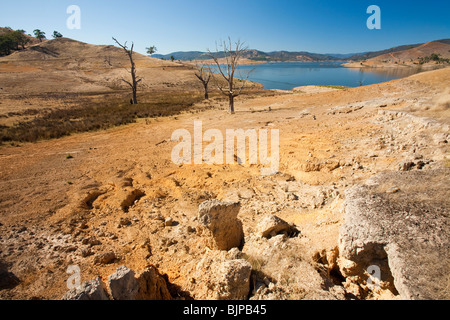 Bäume, die getötet wurden, als durch die Schaffung von Lake Eildon ertrank stehen hoch und trocken, wie der See aufgrund der Dürre vertrocknet. Stockfoto