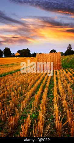 Goldener Sonnenuntergang über Feld-Hof mit Heuballen Stockfoto