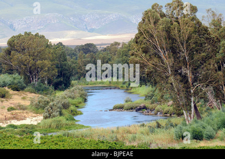 Breede River und den Riviersonderend Bergen ein Wein erzeugenden Fläche in der Nähe von Robertson in der western Cape Südafrika Stockfoto