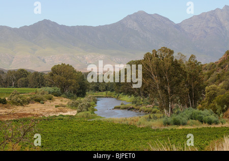 Breede River und den Riviersonderend Bergen ein Wein erzeugenden Fläche in der Nähe von Robertson in der western Cape Südafrika Stockfoto