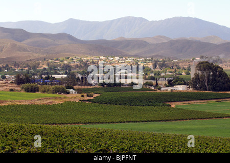 Bonnievale unterhalb der Riviersonderend Berge ein Wein erzeugenden Stadt umgeben von Reben in der Region Breede River ZA Stockfoto