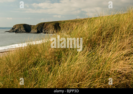 14. Oktober 2008. Thurlestone, Devon, England.die Strand und Klippen von den Sanddünen von Thurlestone, South Hams, Devon. Stockfoto