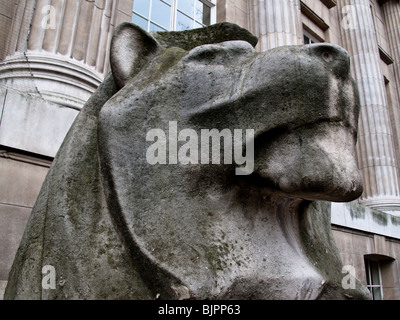 Nahaufnahme des Löwenstatue den Kopf. British Museum, Bloomsbury, London, England, Vereinigtes Königreich Stockfoto