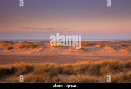 Dünen und Meer am Holkham Beach in der späten Nachmittagssonne, Norfolk, England Stockfoto