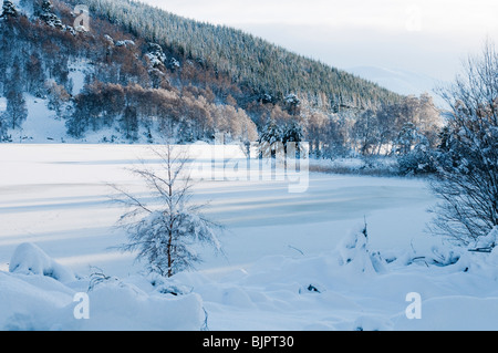 Schneefall auf gefrorenen Loch Pityoulish, Schottland Stockfoto