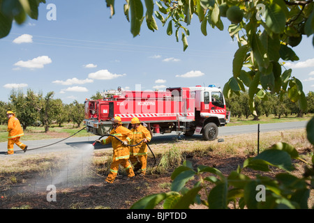 CFA Feuerwehrleute bekämpfen Brandfall am Straßenrand in der Nähe von Shepperton, Victoria, Australien. Stockfoto