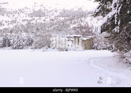 Loch ein Eilein Aviemore mit Schnee eingefroren Stockfoto