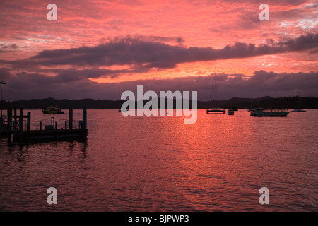 Hafen Sie in Paihia bei Sonnenaufgang, North Island, Neuseeland, NZ. Stockfoto