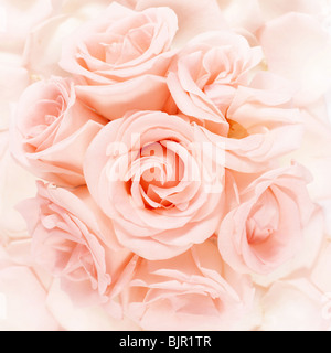 Rosa Rosen Strauß Anordnung auf einem rosa Blütenblätter Stockfoto