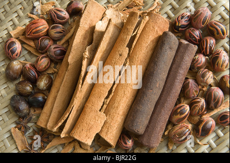 Muskat, Muskatblüte, Zimt, Kakao Bars, Stern Anis St. Lucia Windward-Inseln West Indies Karibik Mittelamerika Stockfoto