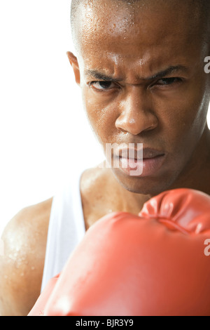 Mann trägt Boxhandschuhe Stockfoto