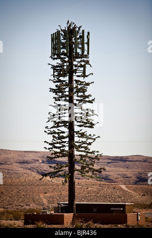 Handy-Sendemast getarnt als eine Tanne in der hohen Wüste von Nevada. Stockfoto