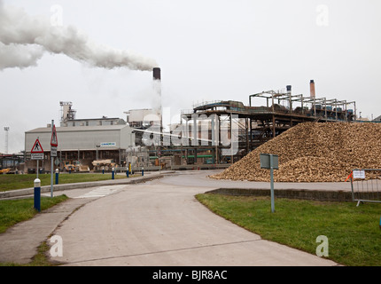 Britische Zuckerfabrik in Bury St Edmunds, Suffolk, UK Stockfoto