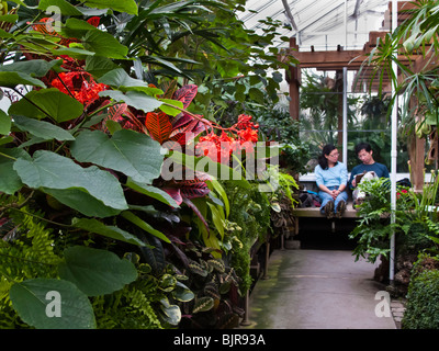 Asian paar sitzt auf Bank innen Volunteer Park Conservatory, Seattle, Washington Stockfoto