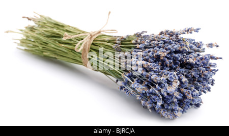 Bundle von getrocknetem Lavendel auf weißem Hintergrund Stockfoto