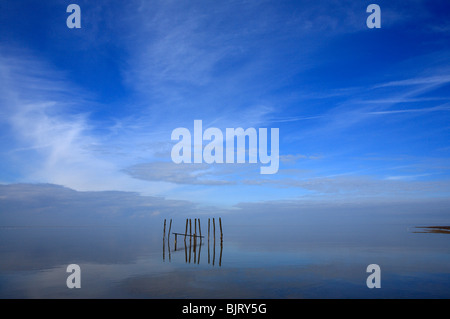 Holzpfosten in eine sehr ruhige See am alten Hunstanton an der North Norfolk-Küste. Stockfoto