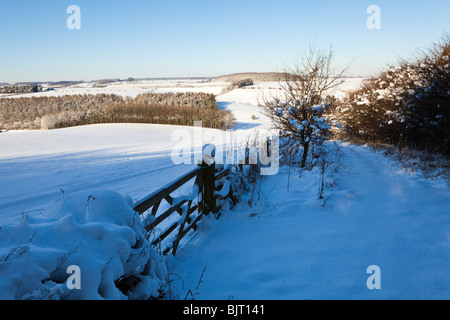 Winter in den Cotswolds - der Fußweg von Broadwater unten in der Nähe von Farmington, kalten verschneit, Gloucestershire Aston Stockfoto