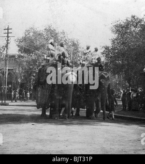 Ein Punjabi Prinzessin reiten ein Elefant in einer Prozession, Delhi, Indien, 1900s Künstler: H Hände & Sohn Stockfoto