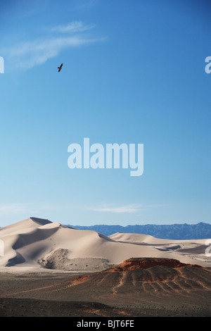 Khongoryn Els (Singing Sands) sind die höchsten Sanddünen in der Wüste Gobi, südlichen Mongolei. Stockfoto