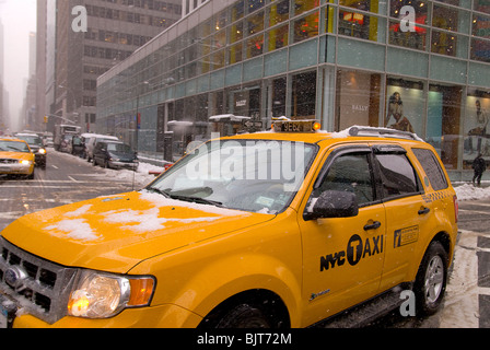 New York Winter Schneesturm, 26. Februar 2010 Stockfoto