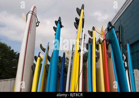 Surfbretter, außerhalb einer Surf Shop, Orleans, Cape Cod Stockfoto