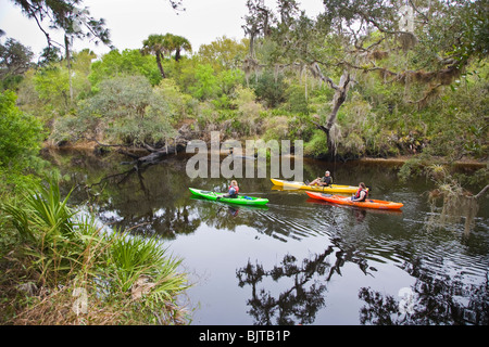 Kajakfahren im Myakka River aber schlafen Schildkröte in Venice Florida bewahren Menschen Stockfoto