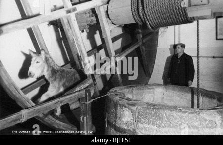 Der Esel im Rad, Carisbrooke Castle, in der Nähe von Newport, Isle of Wight, 20. Artist: Unbekannt Stockfoto