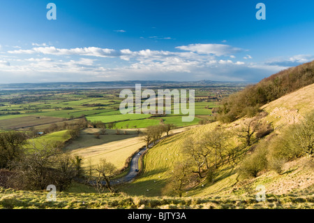 Blick auf Cam, Dursley, Coaley und Berkeley in den Severn Vale aus Coaley Peak, Cotswolds, Glucestershire, UK Stockfoto