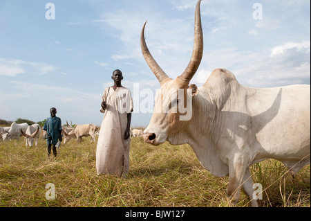 Süd-SUDAN, Cuibet in der Nähe von Rumbek, Dinka Stamm, Schäfer, bewaffnet mit Kalaschnikow AK-47 schützen ihre Zebu-Kühe aus feindlichen Rinder Raider Stockfoto